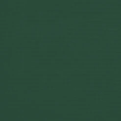 VIDAXL Parasol à Double Tête Vert 316x240 Cm -Le Coin Detente Boutique 6470a736643979.63025654